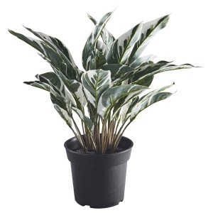 Artificial potted plant, in/outdoor calathea, 15 cm