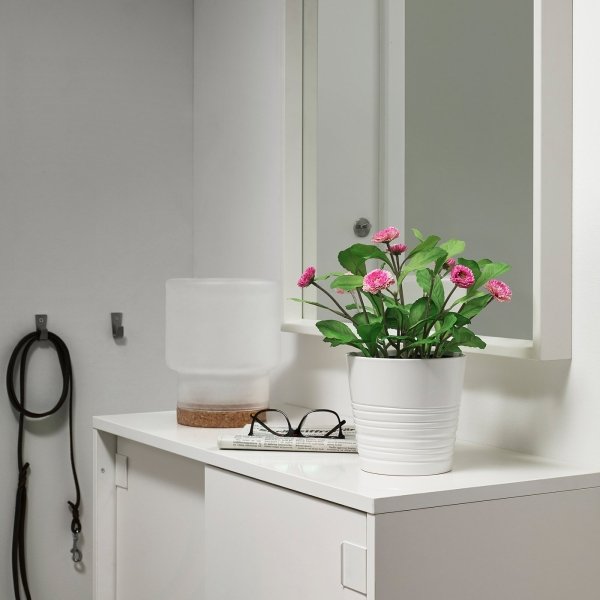 Artificial potted plant, in/outdoor/Common daisy pink, 12 cm - Image 2