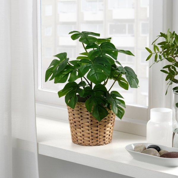 Artificial potted plant, in/outdoor Monstera, 12 cm - Image 2
