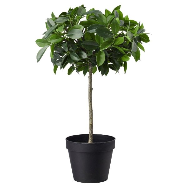 Artificial potted plant, in/outdoor/Weeping fig stem, 12 cm