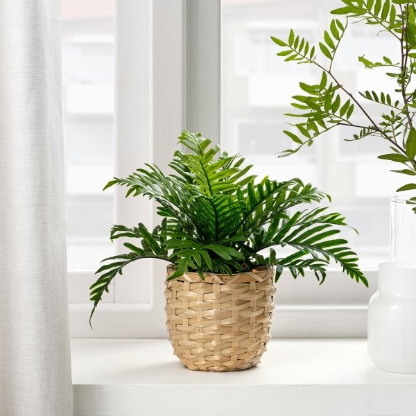 Artificial potted plant, in/outdoor Whitley Giant, 9 cm - Image 2